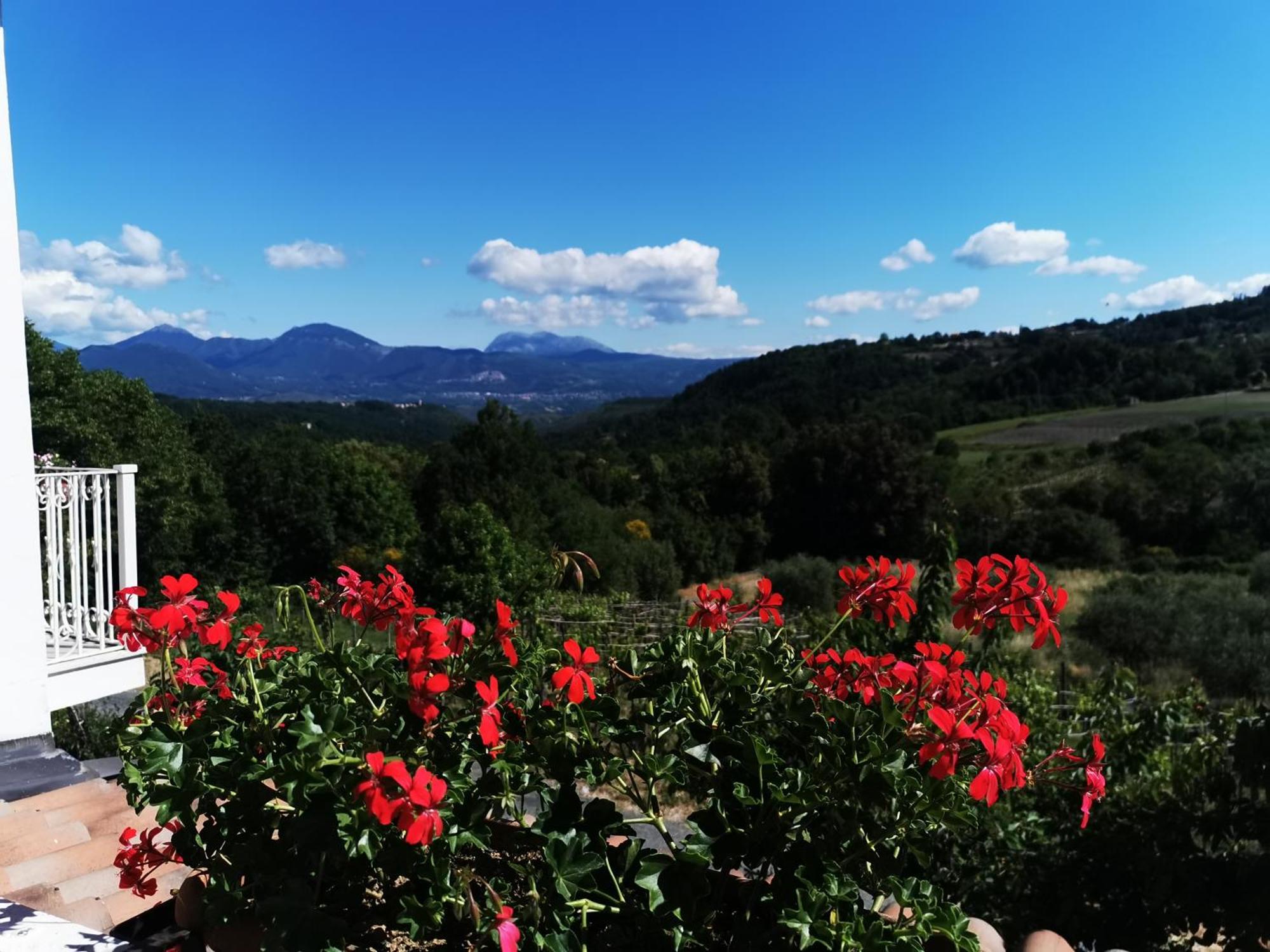 Agriturismo Donna Bianca Mormanno Eksteriør billede