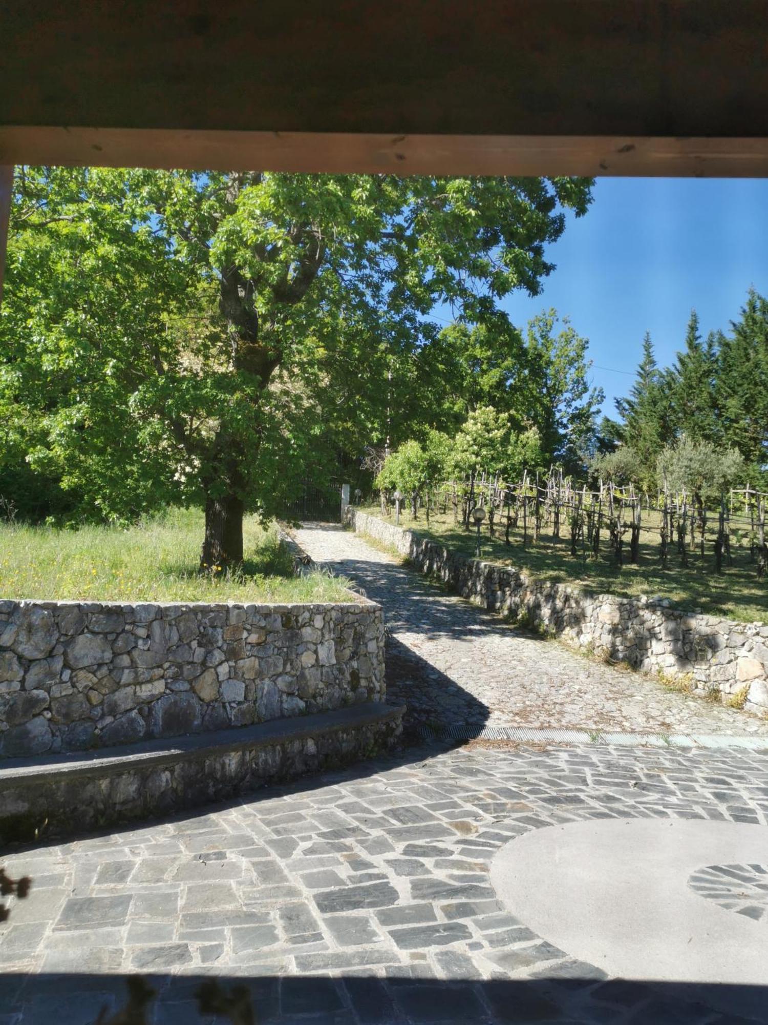 Agriturismo Donna Bianca Mormanno Eksteriør billede