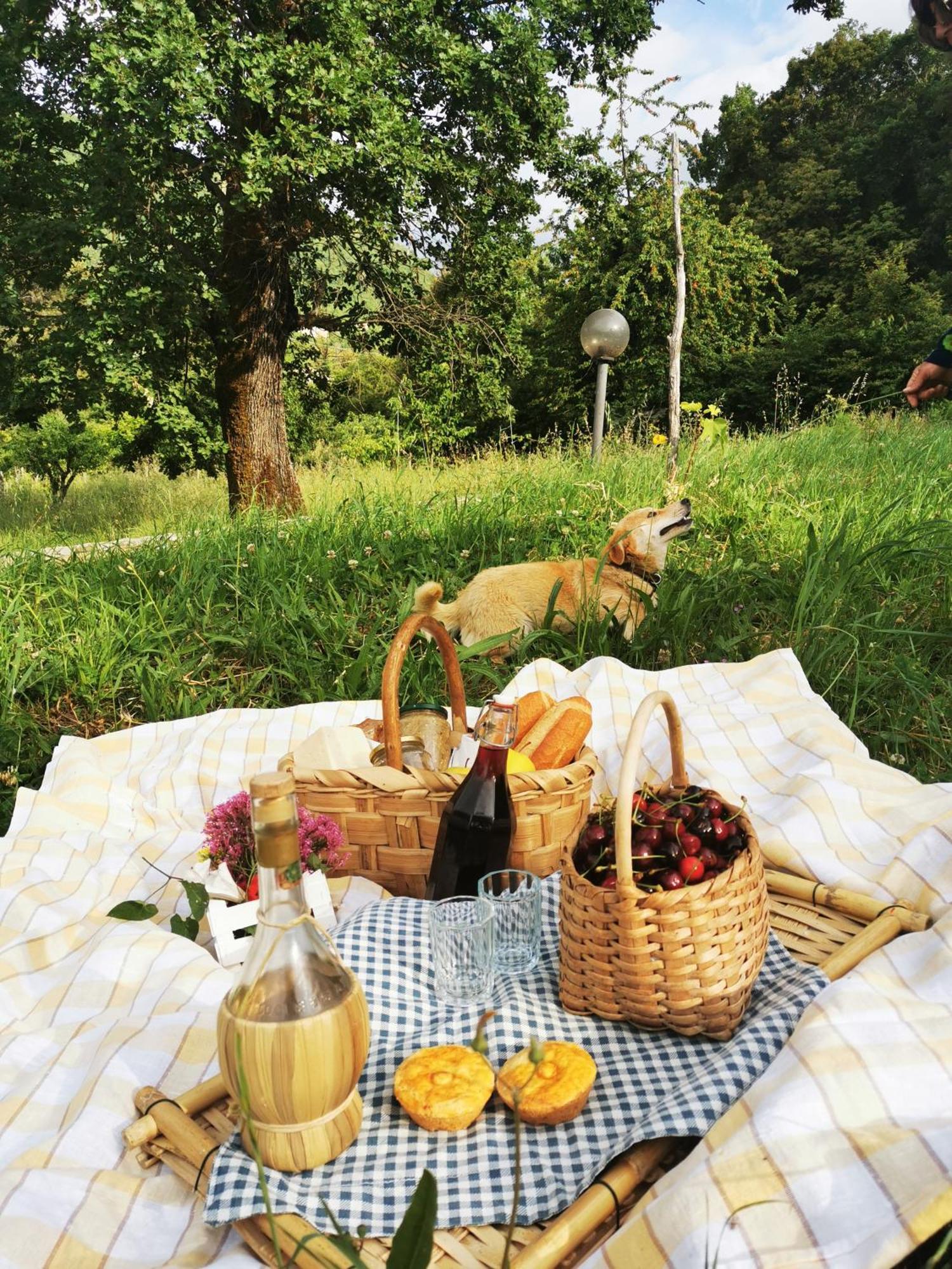 Agriturismo Donna Bianca Mormanno Eksteriør billede