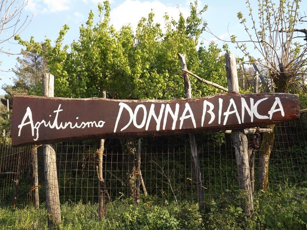 Agriturismo Donna Bianca Mormanno Eksteriør billede