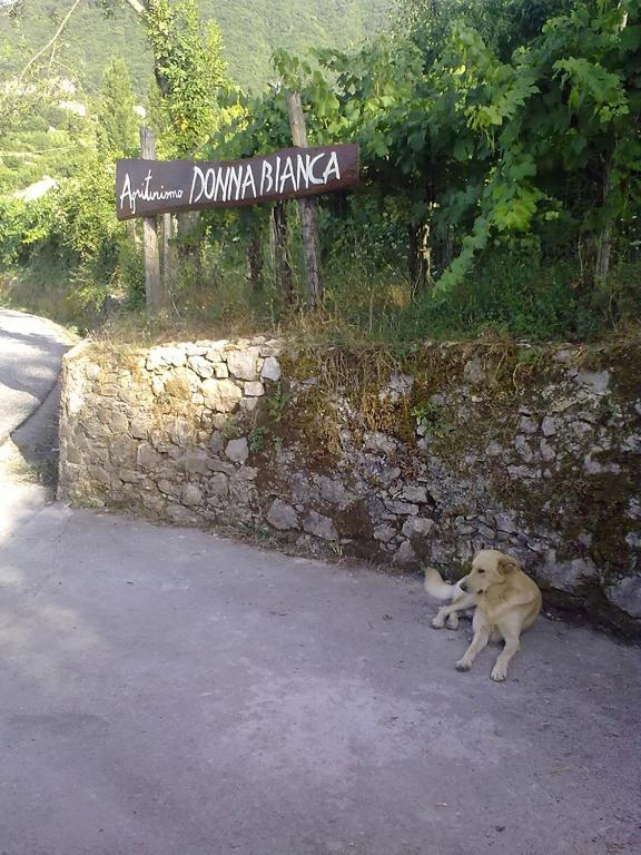 Agriturismo Donna Bianca Mormanno Eksteriør billede